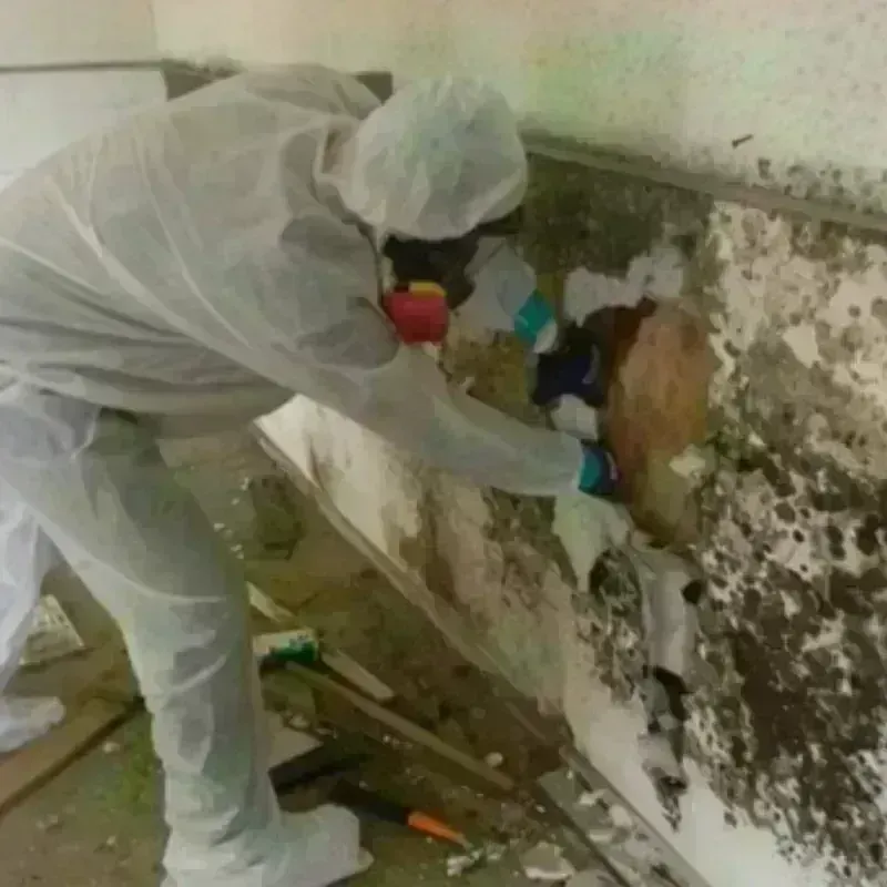 Mold Remediation and Removal in Merrimack, NH